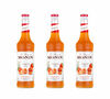 Lot de 3 Sirops Monin - Mandarine - 3 x 70 cl image number 0