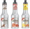 Lot de 3 Smoothies Fruit de Monin : Coco / Fraise / Mangue - 3 x 50cl image number 0