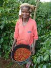 Ground coffee for moka pots: Cameroon - Oku - 250g - Caf&eacute;s Lugat image number 1