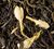 Dammann Fr&egrave;res Loose Leaf Tea Christmas in Beijing - 100g image