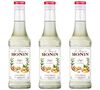 Lot de Sirops Gingembre - 3 x 70cl - MONIN image number 0