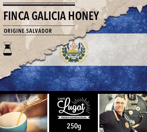 Ground coffee for Hario/Chemex coffee makers : El Salvador - Finca Villa Galicia Honey - 250g - Caf&eacute;s Lugat