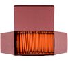 Dammann Fr&egrave;res - Rooibos orientale 24 bustine image number 2