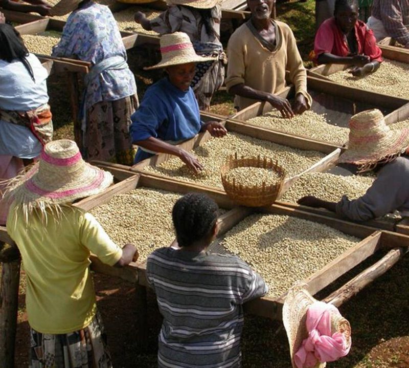 Le Piantagioni del Caff&egrave; Specialty Coffee Beans Lab#106 - 1kg image number 1