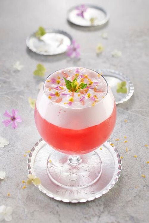 Sirop d'hibiscus 1883 Routin - Bouteille Plastique - 1L image number 1