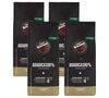 4 x 250 g - Caf&eacute; en grain - 100% Arabica - CAFF&Egrave; VERGNANO image number 0