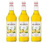 Sirop Monin - Citron - 2 x 1 L image number 0