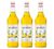 Sirop Monin - Citron - 2 x 1 L image