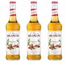 Sirop - Pain d'&eacute;pices - Lot 3 x 70 cl - MONIN image number 0