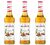 Sirop - Pain d'&eacute;pices - Lot 3 x 70 cl - MONIN image