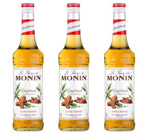 Sirop - Pain d'&eacute;pices - Lot 3 x 70 cl - MONIN