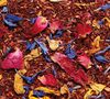 Luxury Box - Roo&iuml;bos Fruits et Fleurs du Soleil - Fruity rooibos - 90g loose leaf by Compagnie Coloniale image number 1