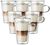 Bodum Canteen Glas doppelwandig mit Henkel 400 ml x 6 image