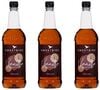 Lot de 3 Sirops Sweetbird - Vanille - 3 x 1L image number 0