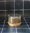 Bo&icirc;te de conservation carr&eacute;e - PEBBLY - en verre et bambou - 500ml image number 2