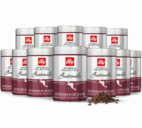 Illy Coffee Beans MonoArabica Guatemala - 12 x 250g