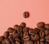 1895 by Lavazza Specialty Coffee Beans Petal Storm - 250g image number 3