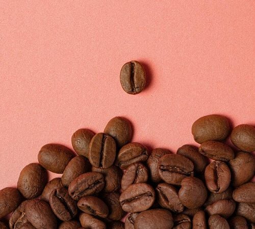 250 g - Caf&eacute; en grain - Petal Storm - 1895 COFFEE DESIGNERS BY LAVAZZA image number 3