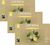 150 Nespresso* Pro Capsules Espresso Organic &ndash; CAFE ROYAL image