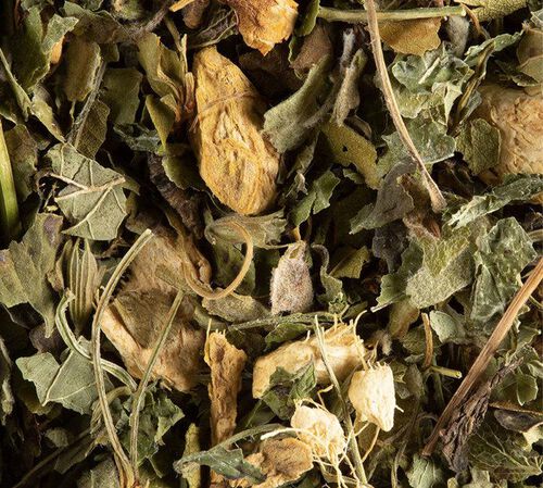 Magic Ginger Tisane Gingembre Citron Miel - Vrac 100 g - DAMMANN FR&Egrave;RES