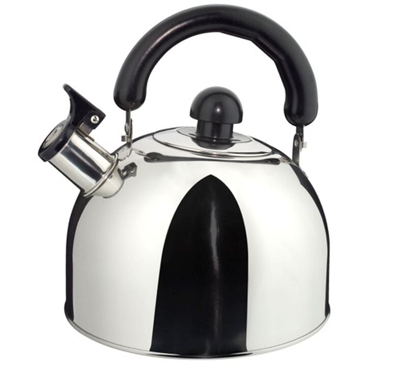 Bouilloire versante ILSA induction &agrave; sifflet en inox 2L image number 0