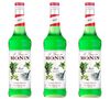 Lot de Sirops Basilic  3 x 70cl - MONIN image number 0