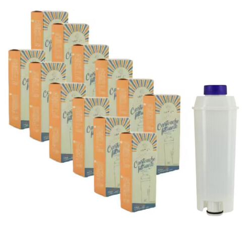 ARFIZE - Filtro Acqua per DeLonghi DLSC002 x 12