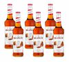 Sirop Caramel Sal&eacute; + pompe doseuse 6 x 70cl - MONIN image number 0