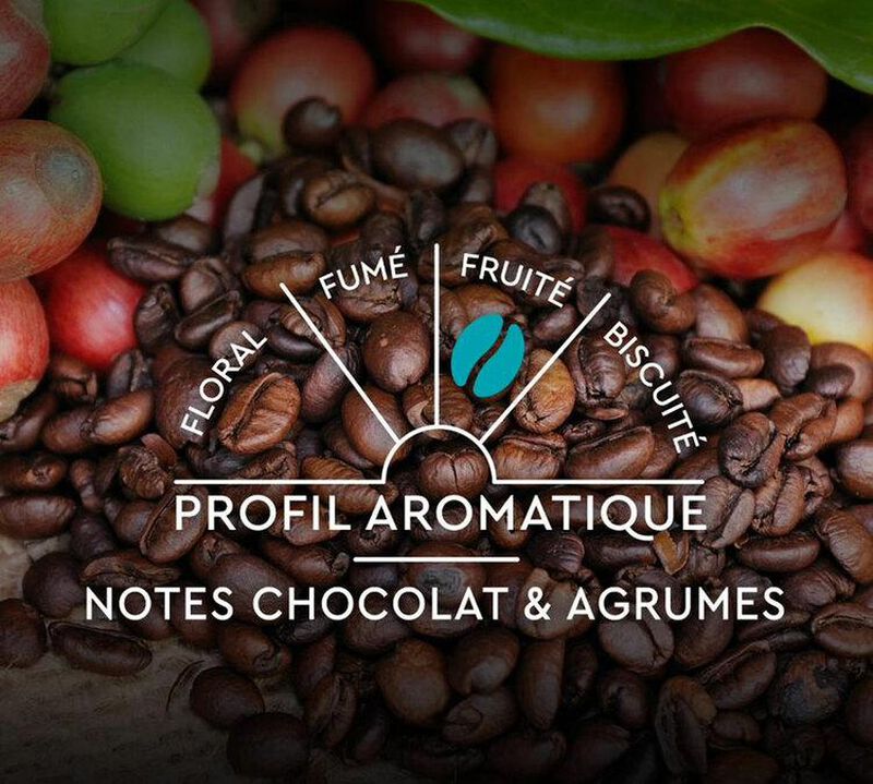 60 capsules compatibles Nespresso* Original - Espresso Classique n&deg;7 - CARTE NOIRE image number 6