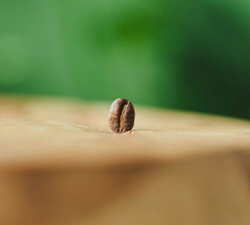 Green Lion Coffee - Le M&eacute;lange Sirga - Bio-Kaffeebohnen 1 kg image number 1
