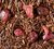 Dammann Fr&egrave;res Rooibos Paul & Virginie - 100g image