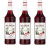 Lot de 3 Sirops Monin - Grenadine - 3 x 1 L image number 0