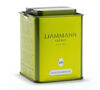 Tisane des Merveilles herbal tea - 45g loose leaf in tin - Dammann Fr&egrave;res image number 2