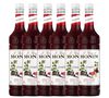 Sirop Grenadine - Bouteille plastique - 6 x 1L - MONIN image number 0