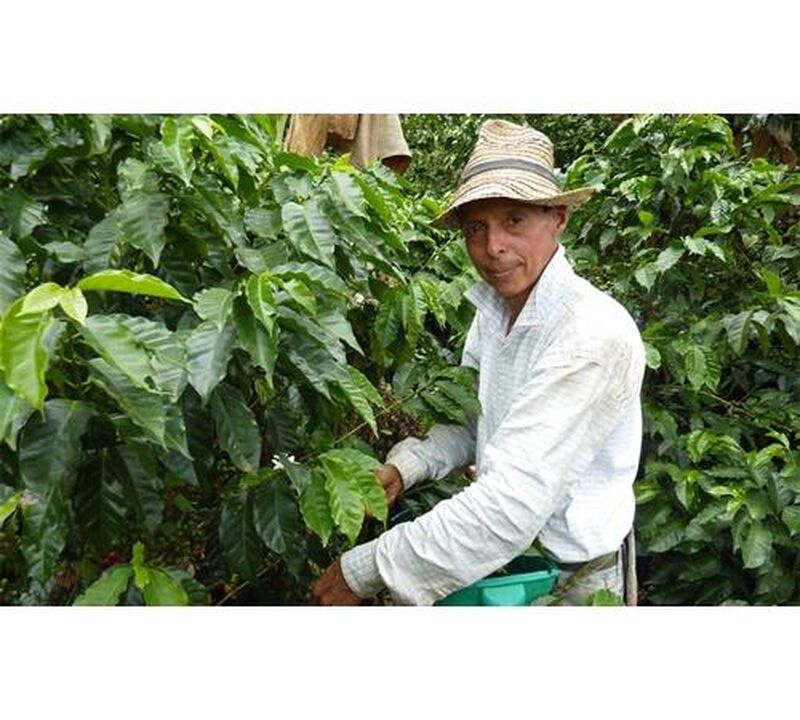 Ground coffee for moka pots: Colombia - Macao - 250g - Caf&eacute;s Lugat image number 2
