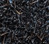 Compagnie Coloniale P&ecirc;che abricot&eacute;e black tea - 25 tea bags image number 2