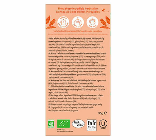 Infusion Trois gingembres Bio - 6 x 20 sachets - PUKKA image number 3