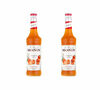 Sirop Monin - Mandarine - 2 x 70 cl image number 0