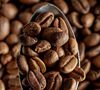 Green Lion Coffee - Caff&egrave; in grani Bio - Sweet Dreams 1 kg image number 3