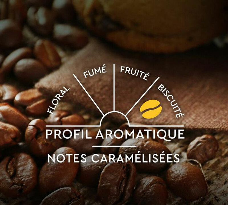 10 capsules compatibles Nespresso* Original Espresso Lungo N&deg;6 - CARTE NOIRE image number 8