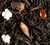 Dammann Fr&egrave;res Black Tea Christmas in Montr&eacute;al - 100g image