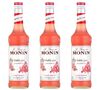 Lot de 3 Sirops Monin - Bubble Gum - 3 x 70cl image number 0