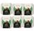 54 Boules de caf&eacute; Espresso Bio Compatible CoffeeB - CAF&Eacute; ROYAL image