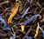 Jardin Bleu flavoured black tea - 100g loose leaf - Dammann Fr&egrave;res image