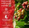 Senseo Pods Caf&eacute; au Lait x 16 image number 4