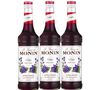 Sirop Violette - 3 x 70cl - MONIN image number 0