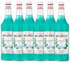Lot de 6 Sirops- Menthe Glaciale - 6 x 1 L - MONIN image number 0