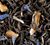 Dammann Fr&egrave;res - Earl Grey Russia - 100g image