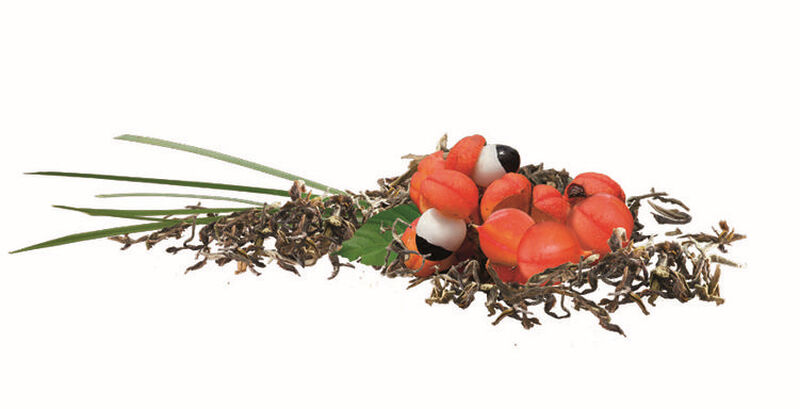 Terra Etica Organic guarana & lemongrass Green tea  - 20 sachets image number 1