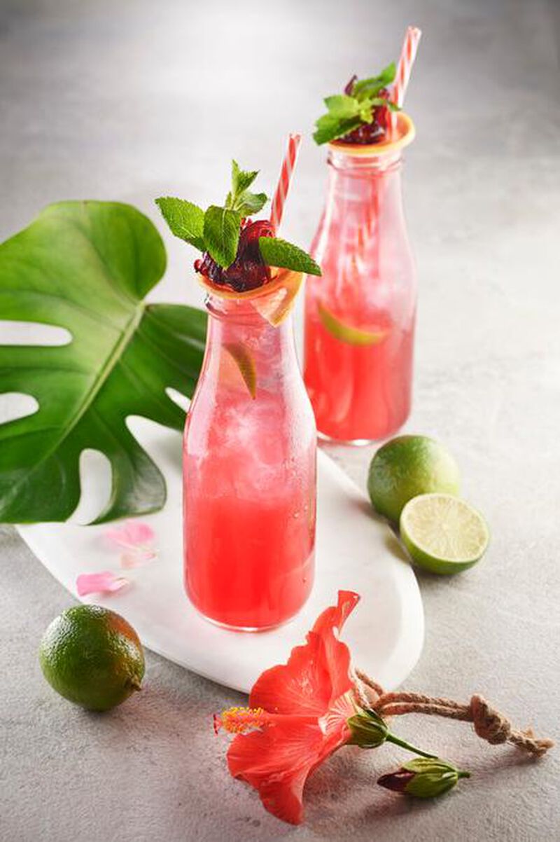 Sirop d'hibiscus 1883 Routin - Bouteille Plastique - 2 x 1 L image number 1